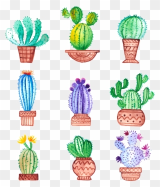 Graphic Library Download Cactaceae Painting Drawing Clipart