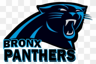 Panther Clipart Pioneer - Carolina Panthers Address Logo - Png Download