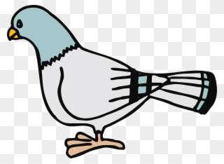 Homing Pigeon Columbidae Bird Don't Let The Pigeon - Pigeon Clip Art - Png Download