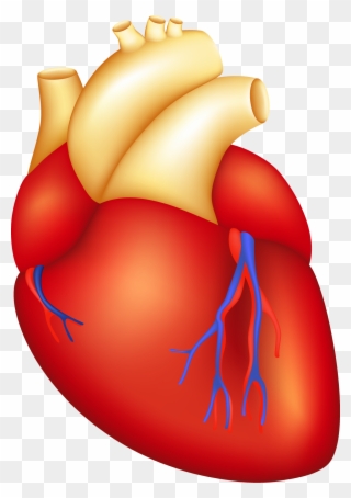 Svg Library Download Repairing The Heartstrings Havasu - Heart Body Part Clipart - Png Download