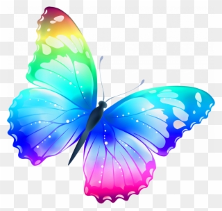 Last Minute Free Images Butterfly Pictures Of Butterflies - Color Butterfly Png Clipart