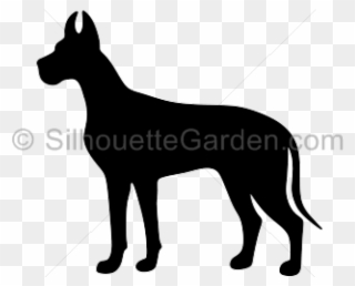 Great Dane Silhouette Png Clipart