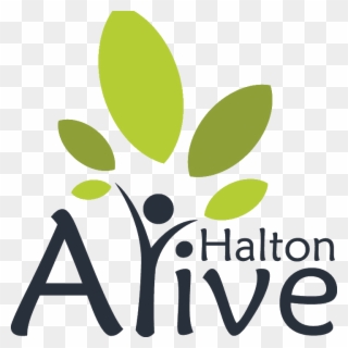 Halton Alive - Word Order Of Adverbs Clipart