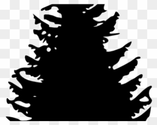 Pinetree Clipart - Pine Tree Black And White Clipart - Png Download