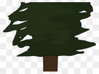 Pine Tree Clipart Red Wood Tree - Clipart Redwood Tree - Png Download