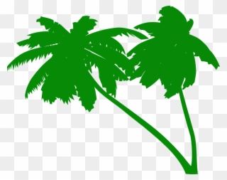 Palm Tree Clipart Palm Tress - Green Palm Tree Vector - Png Download