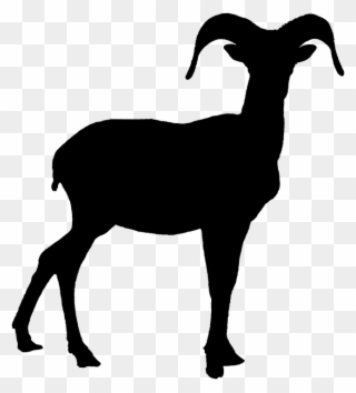 Bighorn Sheep Clipart - Png Download