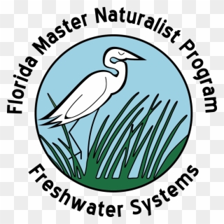 Uf/ifas Florida Master Naturalist Program Clipart