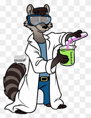 What About A Short Raccoon That Is Always Happy And Clipart
