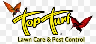 Old Top Turf Logo Clipart