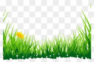 Lawn Clipart Jungle Grass - Png Download