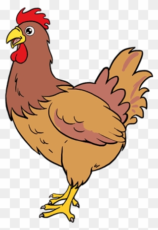 Brahma Chicken Drawing Rooster Meat Ⓒ Clipart