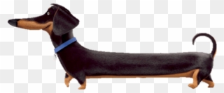Free Png Download Buddy Full Length Clipart Png Photo Transparent Png