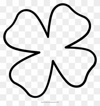 Four Leaf Clover Drawing Clipart