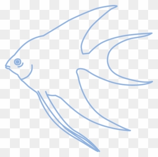 Fish,fish,free Vector Graphics,free Pictures, Clipart
