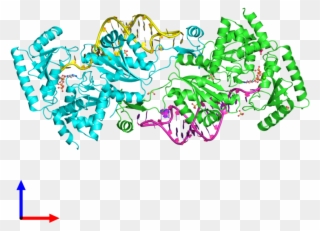 Pdb 3ovs Coloured By Chain And Viewed From The Front Clipart