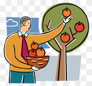 Vector Illustration Of Businessman Picks Ripe Fruit Clipart