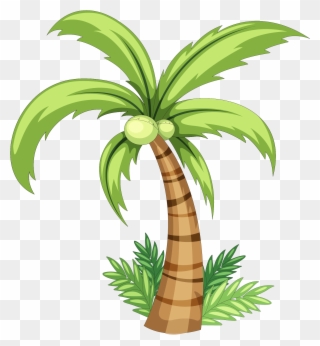 Coconut Drawing Clip Art - Simple Coconut Tree Drawing - Png Download