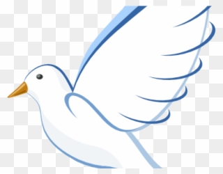 White Dove Clipart Clip Art - International Day Of Peace 2017 Theme - Png Download