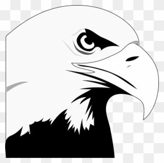 Animated Eagle - Clipart Library - Bald Eagle Black And White Clipart - Png Download