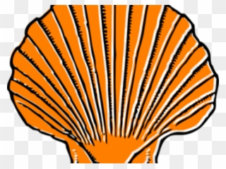 Shell Clipart Orange - Large Sea Shell Clipart - Png Download