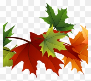 Fall Leaves Images Clip Art Free Leaf Clipart At Getdrawings - Fall Color Leaves Clipart - Png Download