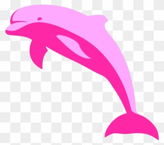 Amazon River Dolphin Porpoise Tucuxi - Cartoon Pink Dolphin Clipart
