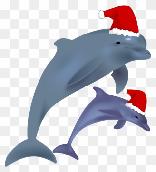 Common Bottlenose Dolphin Jumping Clip Art Christmas - Christmas Dolphin - Png Download