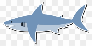 Great White Shark Bull Shark Shark Finning Lemon Shark - Cartoon Image Of Shark Clipart