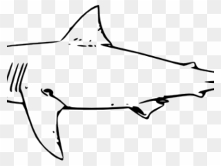 Bull Shark Clipart Simple - Great White Shark Line Art - Png Download