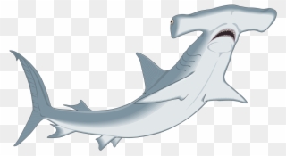 Hammerhead Shark Clipart Clip Art - Cute Cartoon Hammerhead Sharks - Png Download