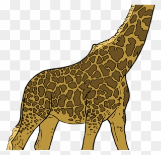 Mammal Clipart Giraffe - Custom Giraffe Throw Blanket - Png Download