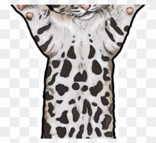 Snow Leopard Clipart Clip Art - Clouded Leopard - Png Download