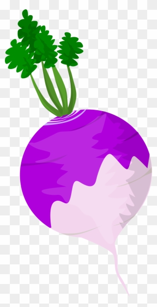Vegetables Clipart Turnip - Clipart Pic Of Turnip - Png Download