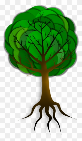 Tree Root Trunk Branch Drawing - Corruption Free India Poster Clipart