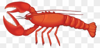Lobster Png Hd - Lobster Png Clipart