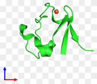 Pdb 1cad Coloured By Chain And Viewed From The Front Clipart