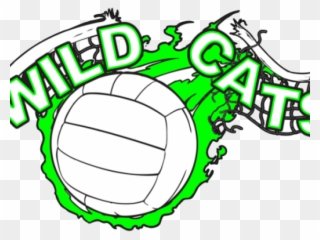 Volleyball Clipart Wildcat - Png Download