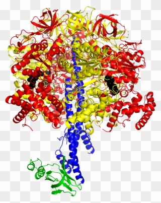 Professor John Walker And His Colleagues Have Solved Clipart