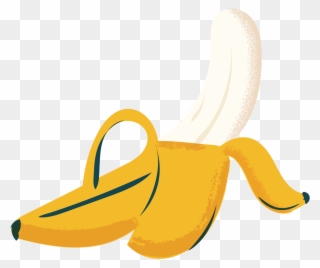 Particularly In Reproductive Products Clipart
