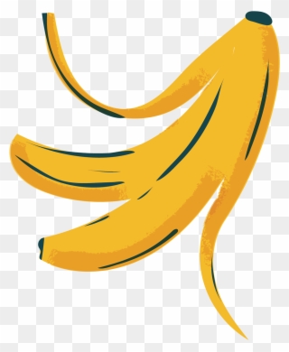 Particularly In Reproductive Products Clipart
