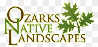 Ozarks Native Landscapes 82817 Clipart