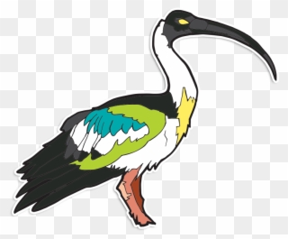 Image Of Ibis Stickers Clipart