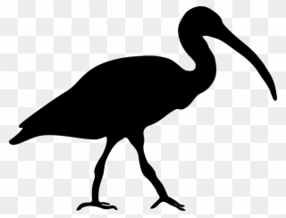 Ibis Logo Standing Clipart
