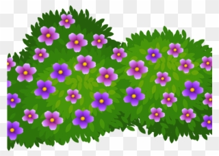 Daisy Clipart Wildflower - Bush Clipart Transparent Background - Png Download