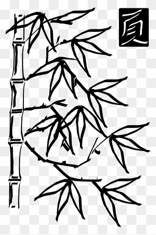 Medium Image - Bamboo Tree Clipart Black And White - Png Download