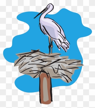 Sea Bird Clipart Pelican - Stork Nest Vector - Png Download
