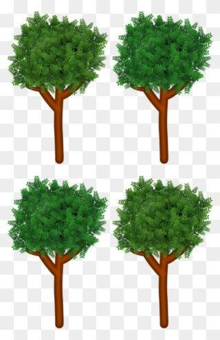 Tree Branch Shrub Forest Wood - Branch Clipart
