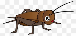 Clipart Png Insect - Insect Clipart Png Transparent Png