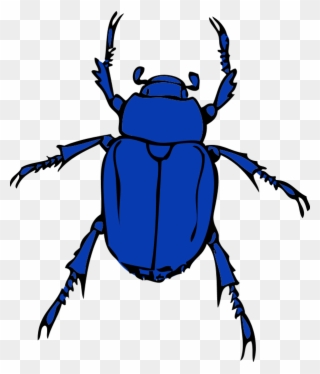 Blue Bug Clipart Clipartfest - Clipart Beetle - Png Download